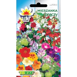 Nasiona Mieszanka pnączy Tor397