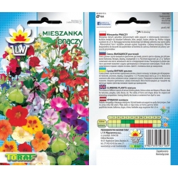 Nasiona Mieszanka pnączy Tor397