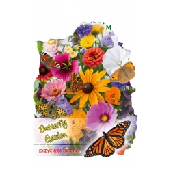  Nasiona Mieszanka przyciągająca motyle Tor398