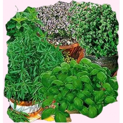 Nasiona Mieszanka ziół Tor599