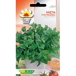  Nasiona Mięta pieprzowa Tor598