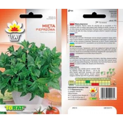 Nasiona Mięta pieprzowa Tor598