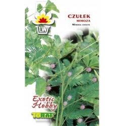 Nasiona Mimoza, Czułek Tor618