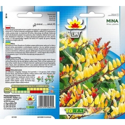 Nasiona Mina pnącze Tor393