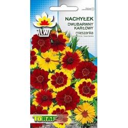 Nasiona Nachyłek dwubarwny karłowy Tor402
