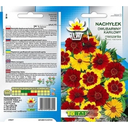 Nasiona Nachyłek dwubarwny karłowy Tor402