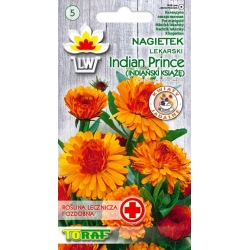 Nasiona Nagietek Indian Prince Tor405