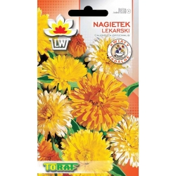  Nasiona Nagietek lekarski Tor600