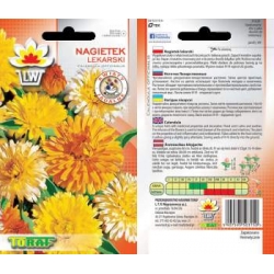  Nasiona Nagietek lekarski Tor600