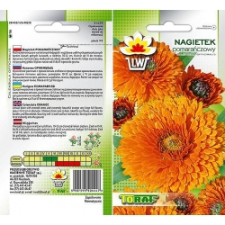Nasiona Nagietek pomarańczowy Tor403