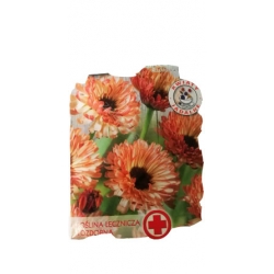 Nasiona Nagietek Sunset Buff Tor406