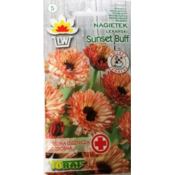 Nasiona Nagietek Sunset Buff Tor406