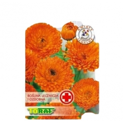 Nasiona Nagietek Geisha Girl Tor404