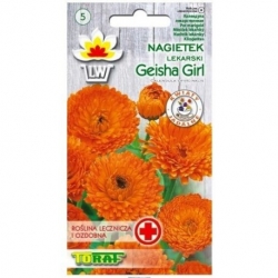 Nasiona Nagietek Geisha Girl Tor404