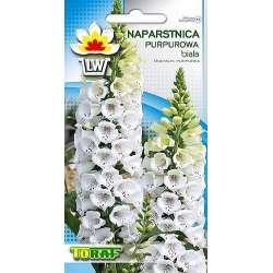 Nasiona Naparstnica purpurowa Tor408