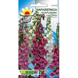 Nasiona Naparstnica purpurowa Tor409