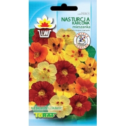 Nasiona Nasturcja karłowa Tor410