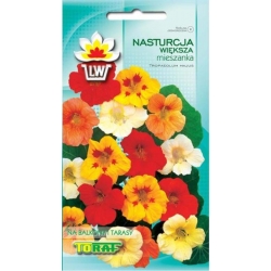 Nasiona Nasturcja większa Tor411