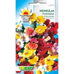 Nasiona Nemezja powabna Tor412
