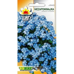 Nasiona Niezapominajka Tor413