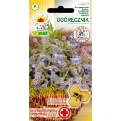 Nasiona Ogórecznik Tor601