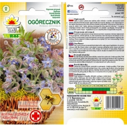 Nasiona Ogórecznik Tor601