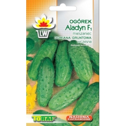 Nasiona Ogórek Aladyn wczesna Tor113