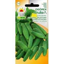 Nasiona Ogórek korniszonowy Anulka Tor112