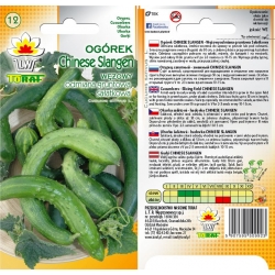 Nasiona Ogórek sałatkowy gruntowy Tor131