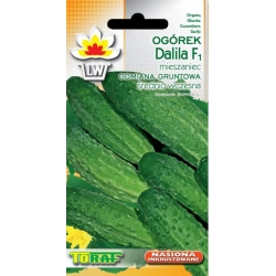Nasiona Ogórek Dalila średnio wczesna Tor125