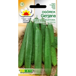 Nasiona Ogórek sałatkowy Gergana Tor132