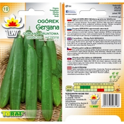 Nasiona Ogórek sałatkowy Gergana Tor132