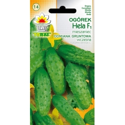 Nasiona Ogórek Hela wczesna Tor115