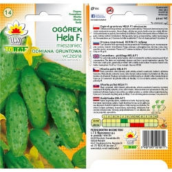 Nasiona Ogórek Hela wczesna Tor115