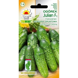 Nasiona Ogórek Julian wczesna Tor116