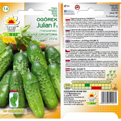 Nasiona Ogórek Julian wczesna Tor116