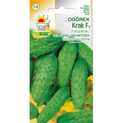 Nasiona Ogórek Krak średnio wczesna Tor117