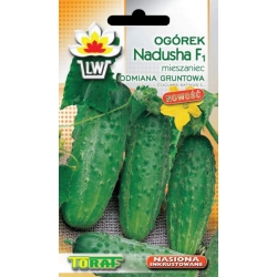 Nasiona Ogórek Nadusha Tor118