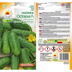 Nasiona Ogórek Octopus średnio wczesna Tor119