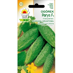 Nasiona Ogórek Parys wczesna Tor120
