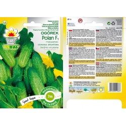 Nasiona Ogórek Polan NA TAŚMIE Tor518