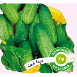 Nasiona Ogórek Polan średnio wczesna Tor126