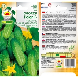Nasiona Ogórek Polan średnio wczesna Tor126