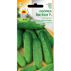 Nasiona Ogórek Racibor średnio wczesna Tor127