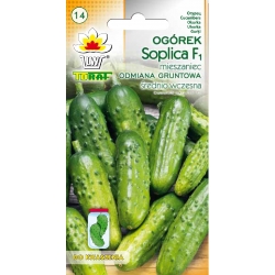 Nasiona Ogórek Soplica średnio wczesna Tor128