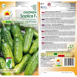 Nasiona Ogórek Soplica średnio wczesna Tor128