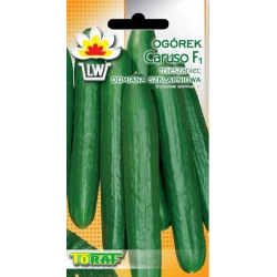 Nasiona Ogórek pod osłony Caruso Tor121
