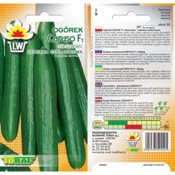 Nasiona Ogórek pod osłony Caruso Tor121