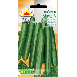  Nasiona Ogórek pod osłony Marta Tor123