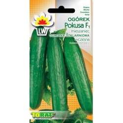 Nasiona Ogórek pod osłony Pokusa Tor122